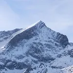 Vergissmeinnicht جارمش بارتنكيرشن