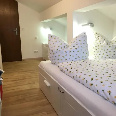 Daire Vergissmeinnicht