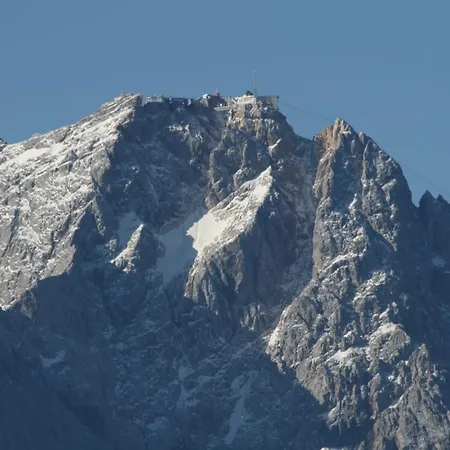 Daire Vergissmeinnicht