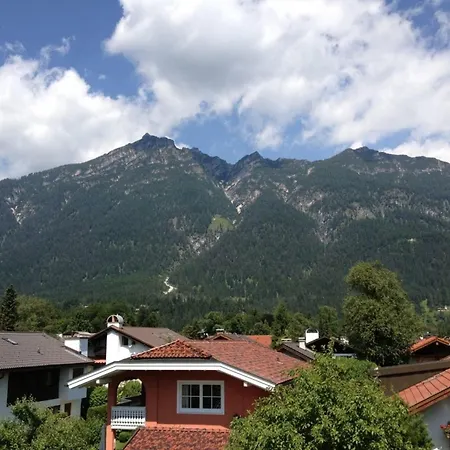 Vergissmeinnicht Garmisch-Partenkirchen