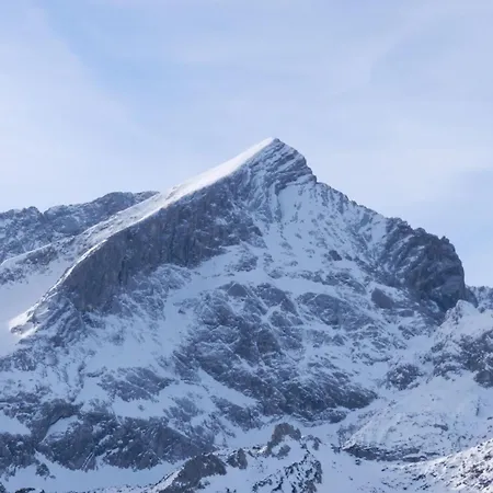 Vergissmeinnicht Garmisch-Partenkirchen